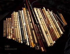 vdwojanka, quena, dizi, turkish kaval, bansuri, low whistle, bulgarian kaval, tsaaj nplaim, hybrid kaval, koncovka, peuhl, fujara, futujara, shakuhachi, kalyuka, kuzhebar bamboo flute, kalyuka, bawu, kawalla, n/a flute, PVC shakuhachi, practice chanter, duduk, zurna