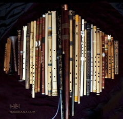 dwojanka, quena, dizi, turkish kaval, bansuri, low whistle, bulgarian kaval, tsaaj nplaim, hybrid kaval, koncovka, peuhl, fujara, futujara, shakuhachi, kalyuka, kuzhebar bamboo flute, kalyuka, bawu, kawalla, n/a flute, PVC shakuhachi, practice chanter, duduk, zurna